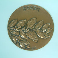 巴西咖啡樹─巴西校友會提供