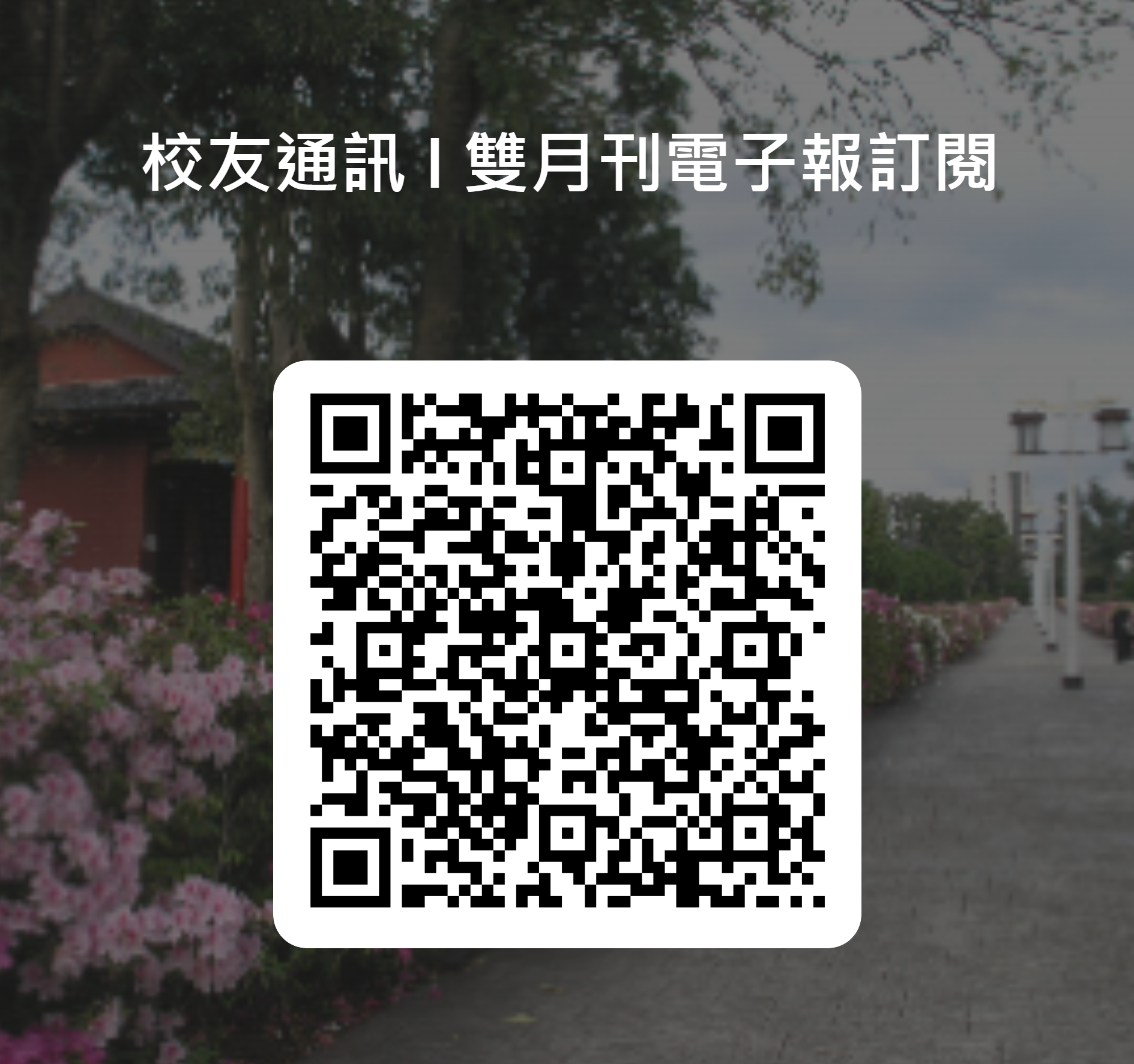 这是一张图片 这是一张图片