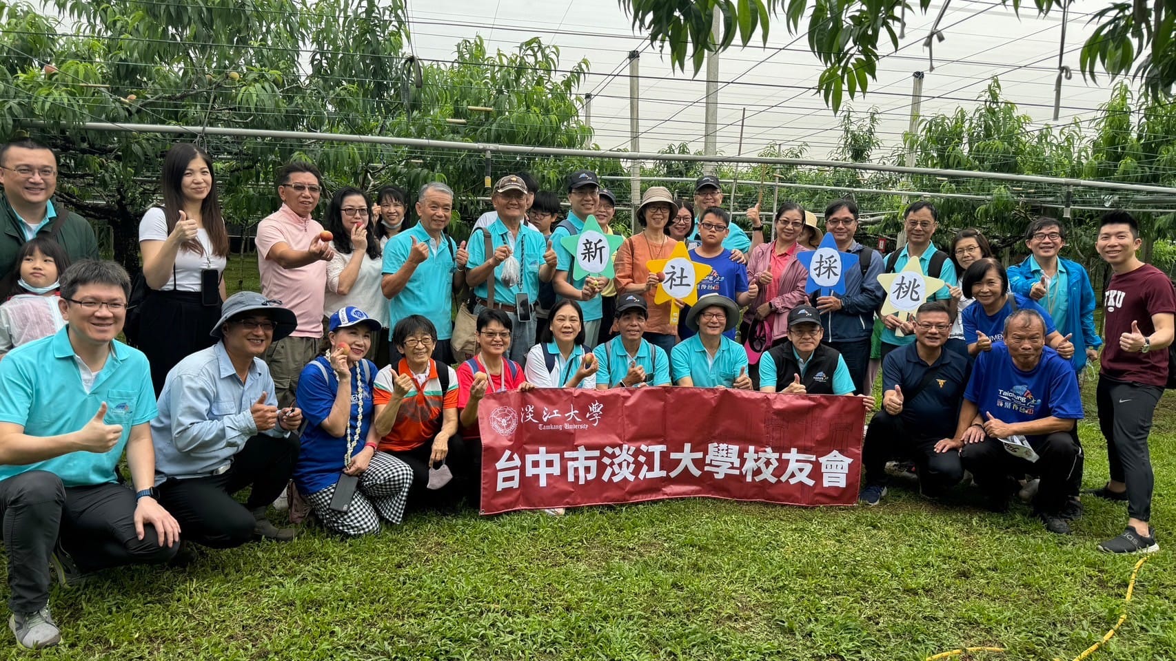 这是一张图片 这是一张图片